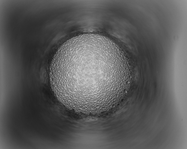 X0000096711446200802191459