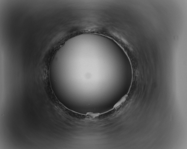 X0000096711447200802191459