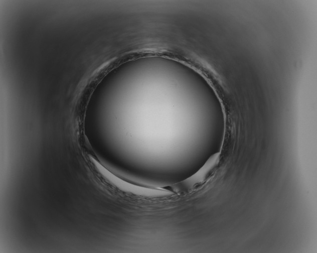 X0000096711448200802191459