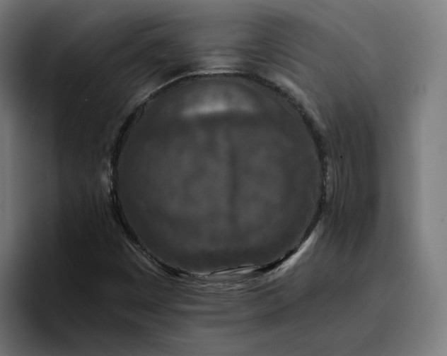 X0000096711449200802191459