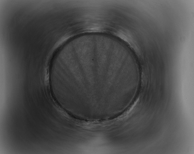 X0000096711450200802191459