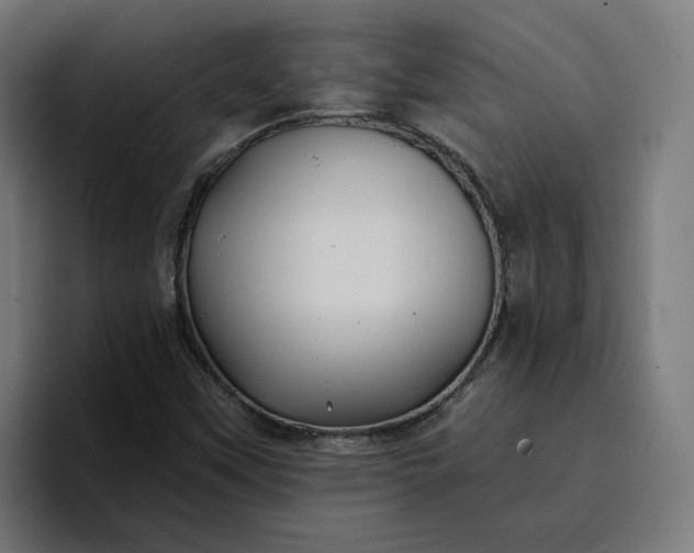 X0000096711451200802191459