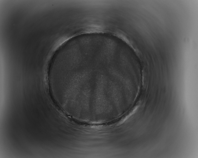 X0000096711453200802191459