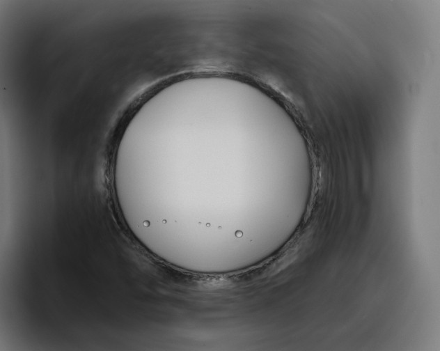 X0000096711454200802191458