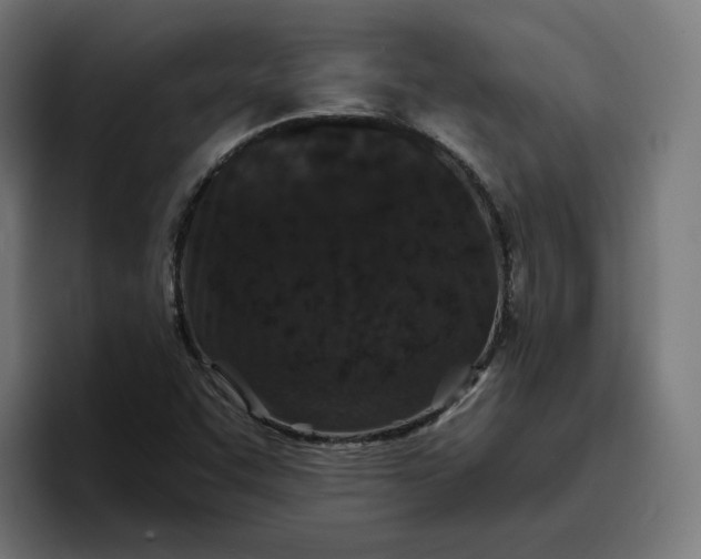 X0000096711455200802191458