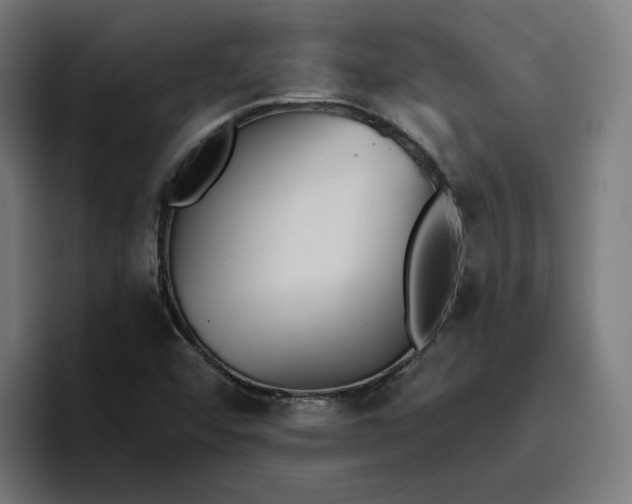 X0000096711456200802191458