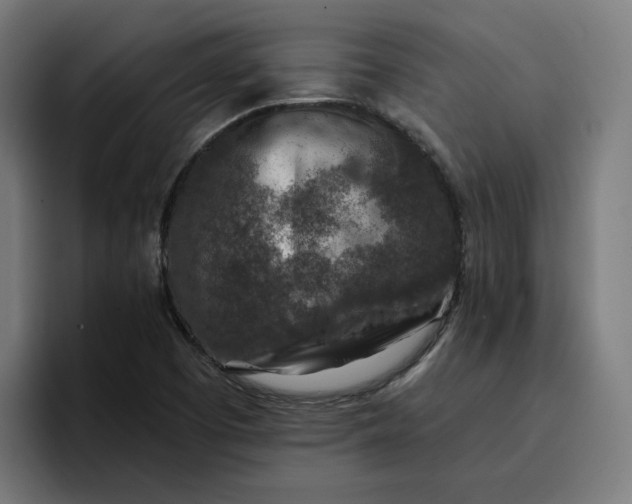 X0000096711457200802191458