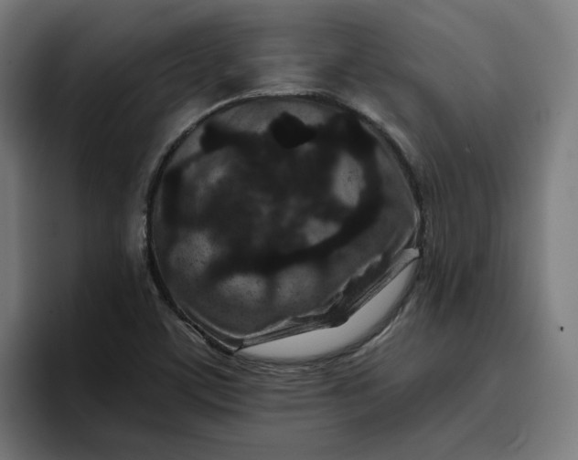 X0000096711459200802191458