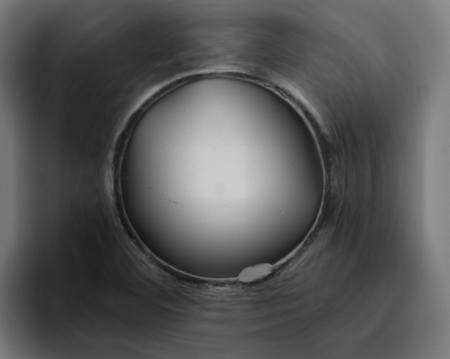 X0000096711460200802191458