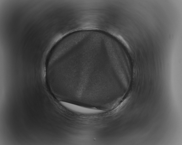 X0000096711461200802191458