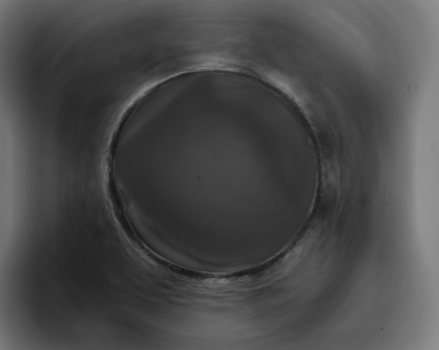 X0000096711463200802191458