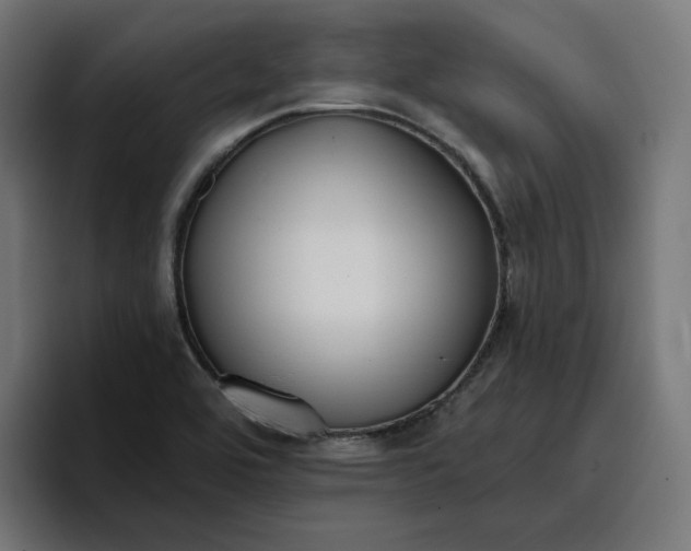 X0000096711464200802191458