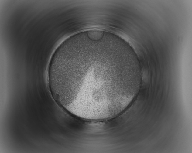 X0000096711466200802191458