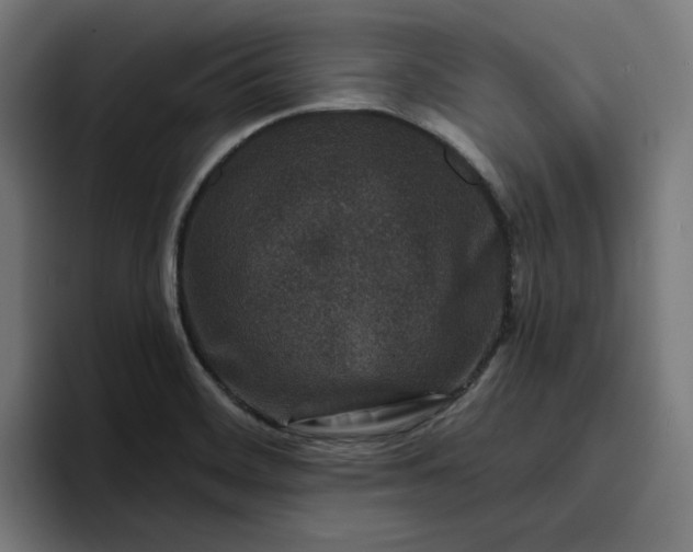 X0000096711468200802191458