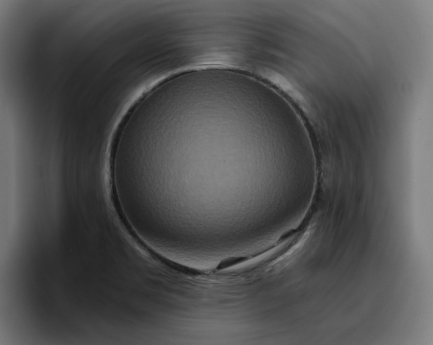 X0000096711469200802191458