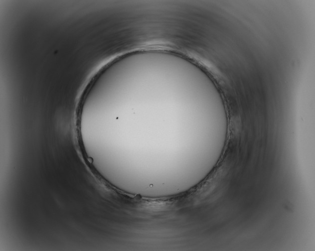 X0000096711470200802191458