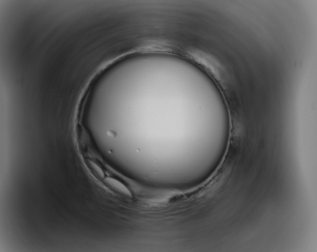 X0000096711471200802191458