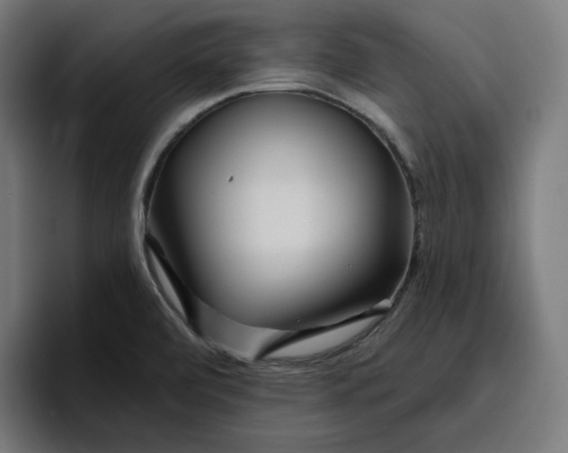 X0000096711472200802191458