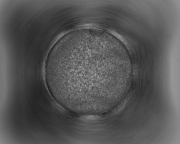 X0000096711474200802191458