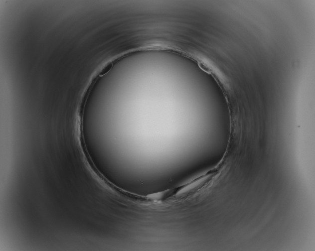 X0000096711476200802191458