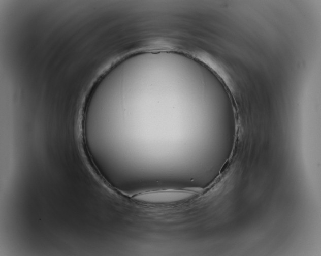 X0000096711477200802191458