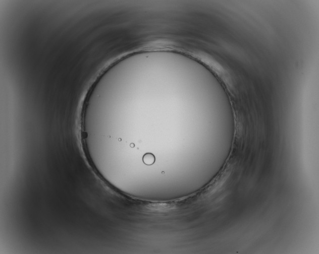 X0000096711478200802191458