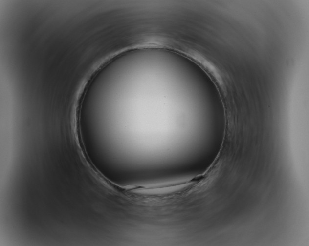 X0000096711480200802191458