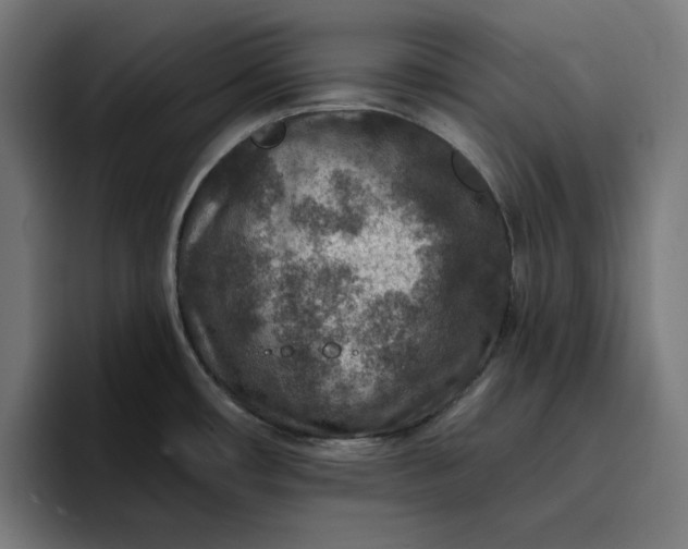 X0000096711482200802191458