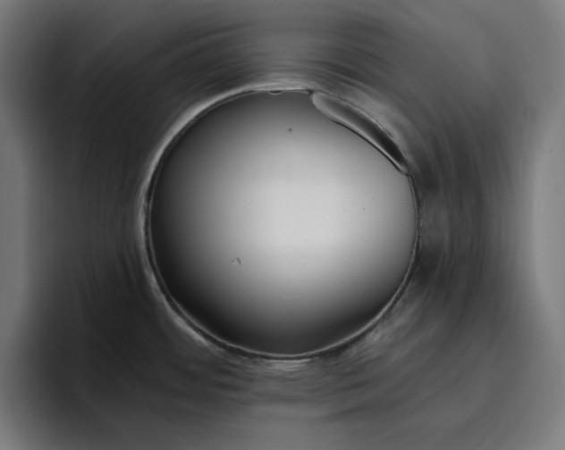 X0000096711484200802191458