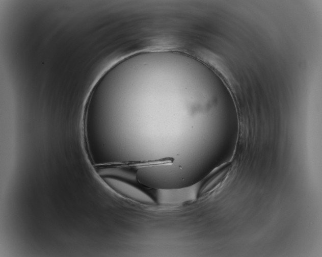 X0000096711487200802191458