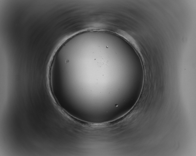 X0000096711488200802191458