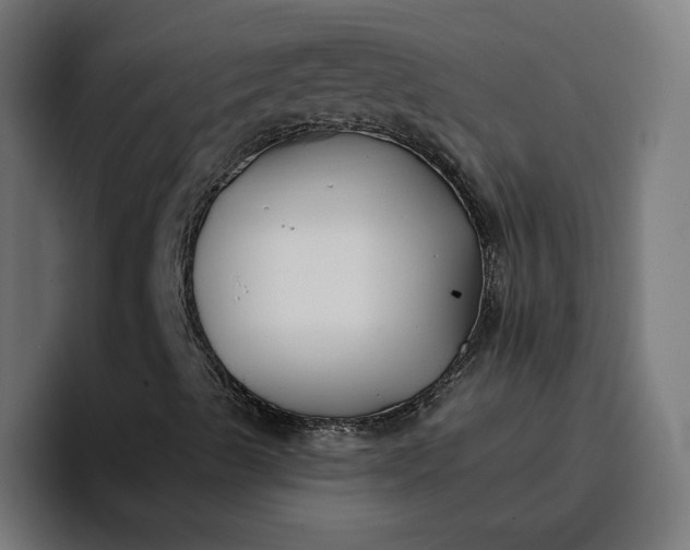 X0000096711489200802191457