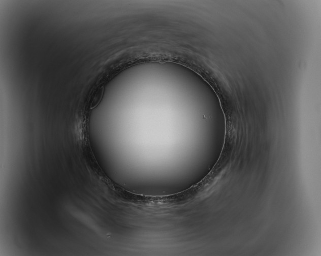 X0000096711490200802191457