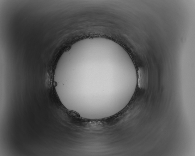 X0000096711491200802191457