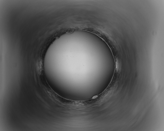 X0000096711492200802191457