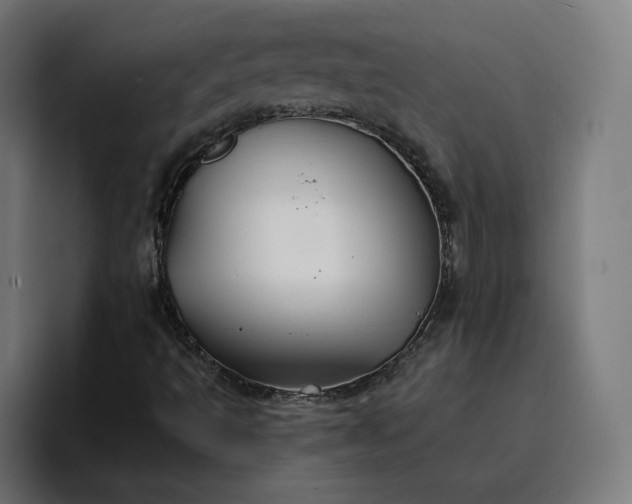 X0000096711493200802191457