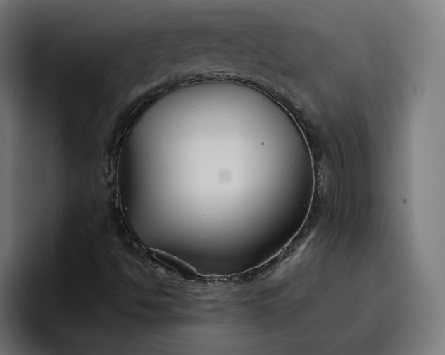 X0000096711494200802191457