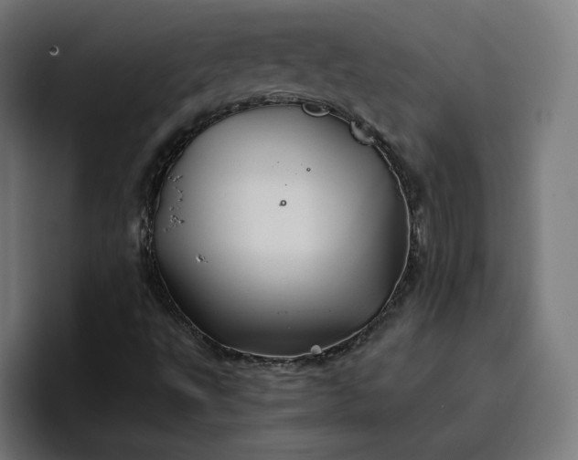 X0000096711495200802191458