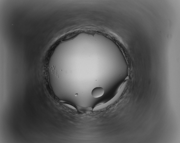 X0000096711496200802191458