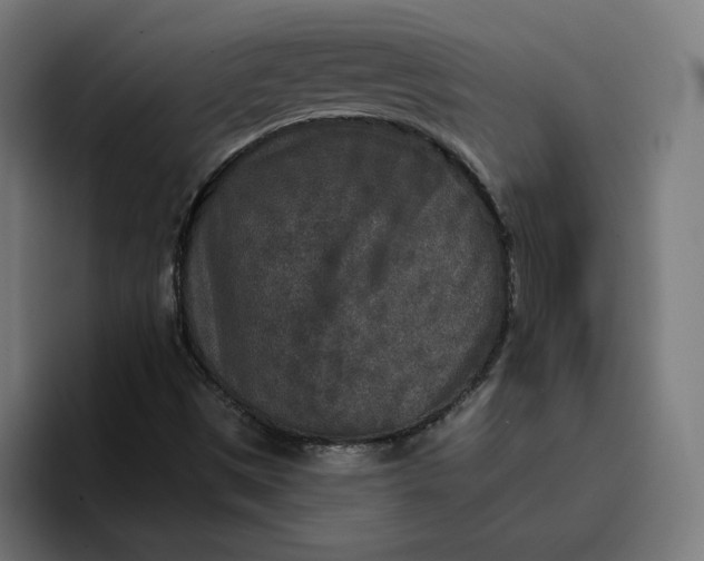 X0000096711497200802191458