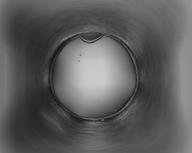 X0000096711499200802191458