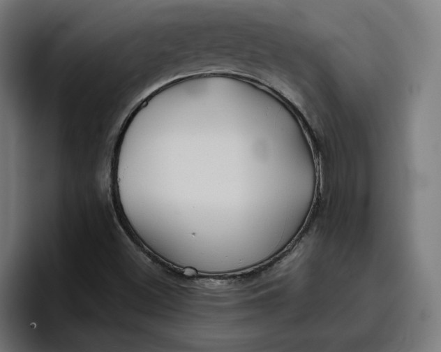 X0000096711500200802191458