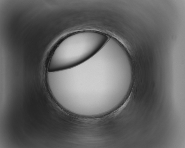 X0000096711502200802191458