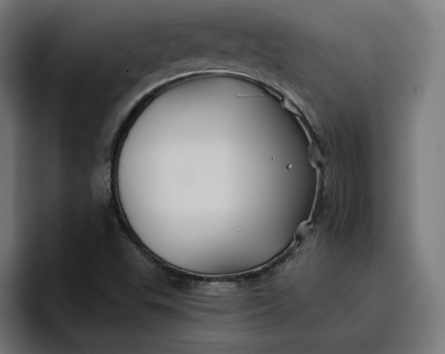 X0000096711503200802191458