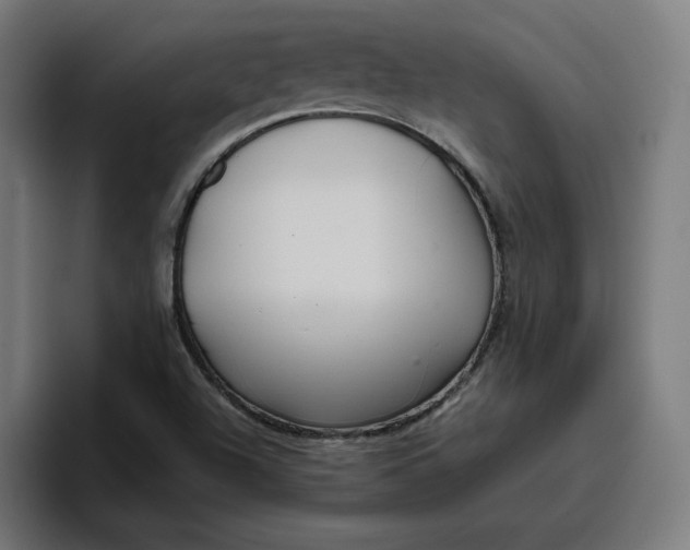 X0000096711504200802191458