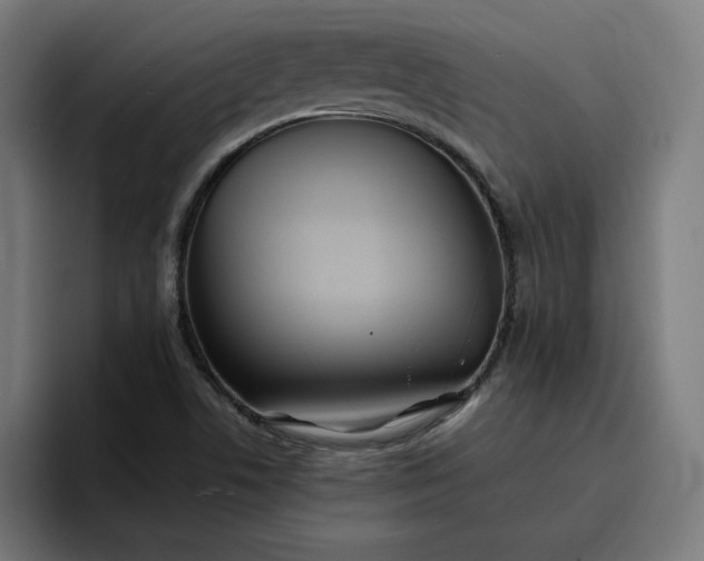 X0000096711506200802191458