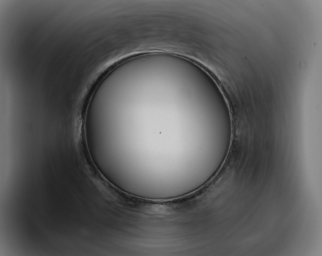 X0000096711507200802191458