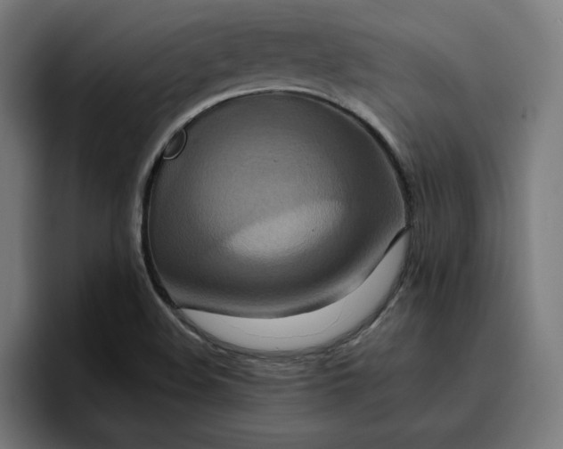 X0000096711508200802191458