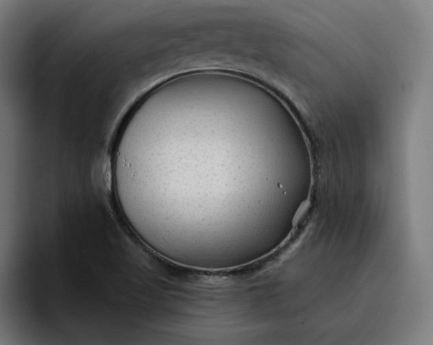 X0000096711509200802191458