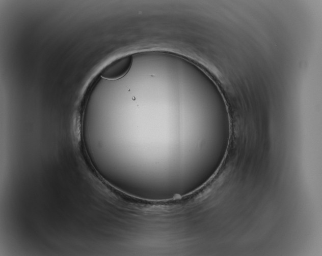 X0000096711510200802191458